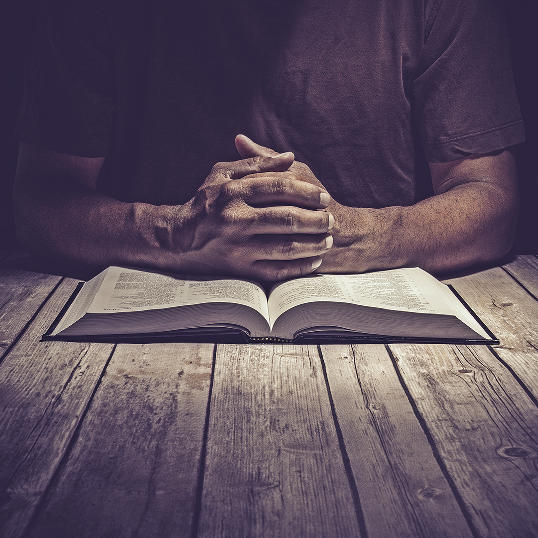 Lea la Biblia en un año : 201º día