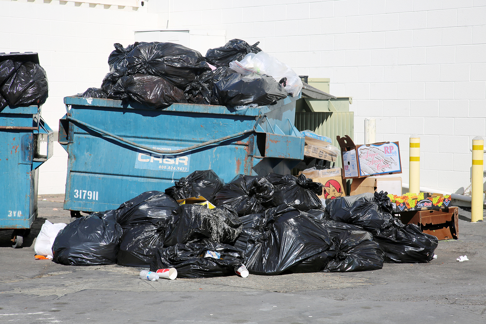 Desalmada madre, que arrojó a su bebé recién nacido a la basura, salió de prisión con fianza de $10,000