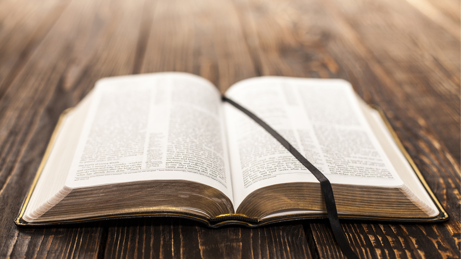 Cap&iacute;tulo 1: La Biblia y el pueblo de Dios