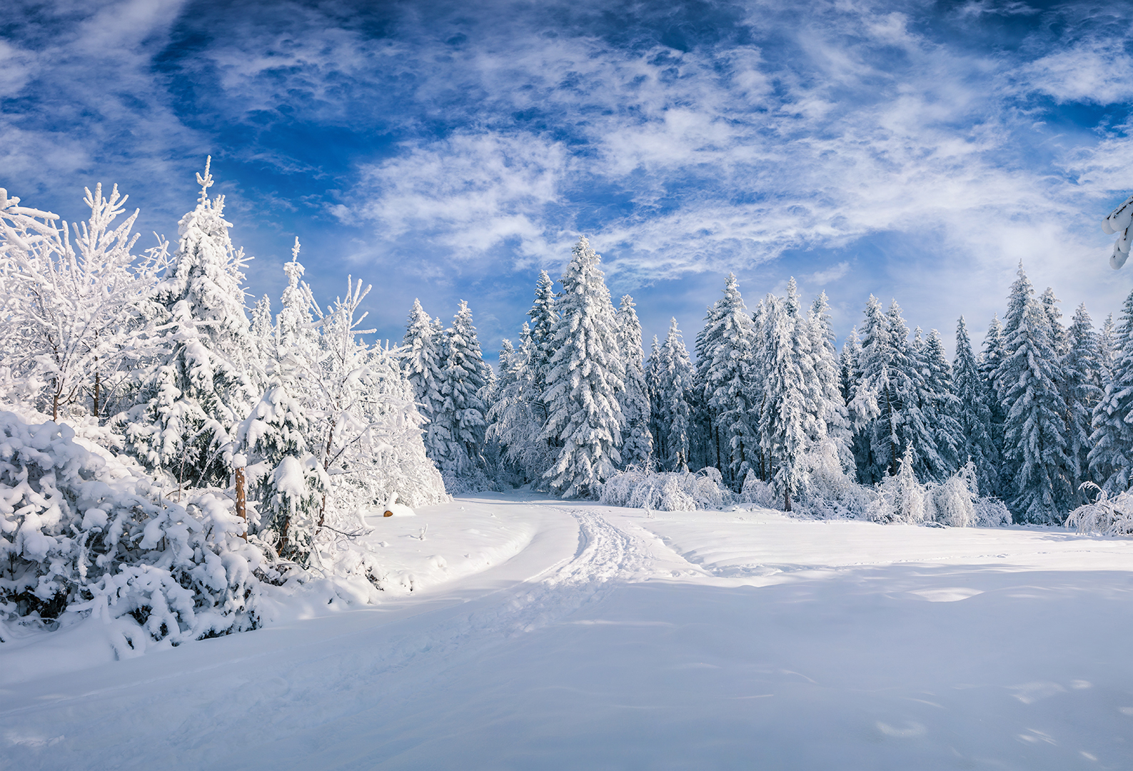 ¡Ah…, la nieve!
