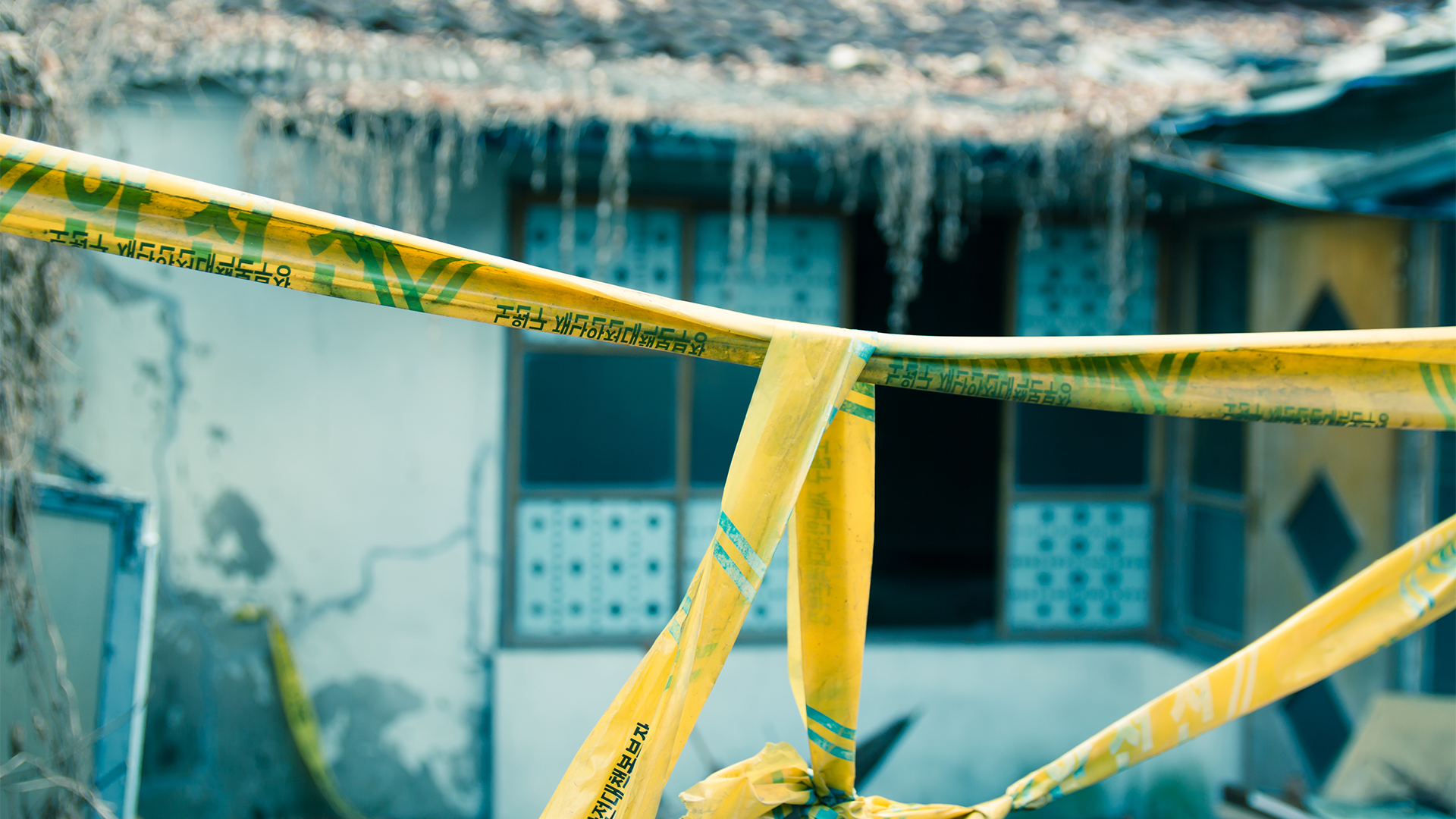 ¿Qué pasó en el desastre de Halloween en Seúl?: ¿fue una estampida? ¿quiénes son las víctimas?